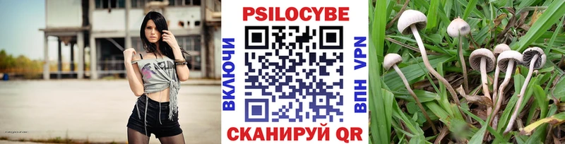 Псилоцибиновые грибы Psilocybine cubensis Нея